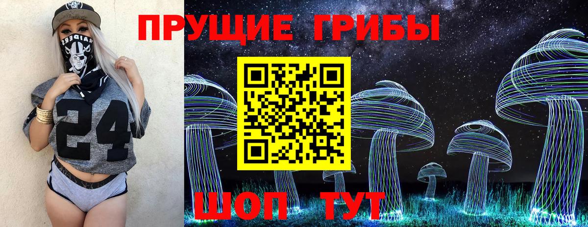 Галлюциногенные грибы GOLDEN TEACHER  Псилоцибиновые грибы Magic Shrooms  Кимовск  Вход с VPN 