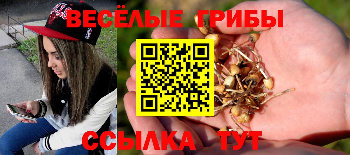 Галлюциногенные грибы MAGIC MUSHROOMS Кимовск