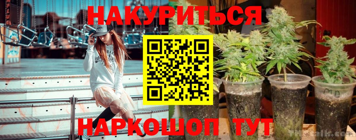 Кимовск  Конопля тримм  Вход с VPN  Бошки Шишки VHQ  Шишки марихуана ГИДРОПОН 